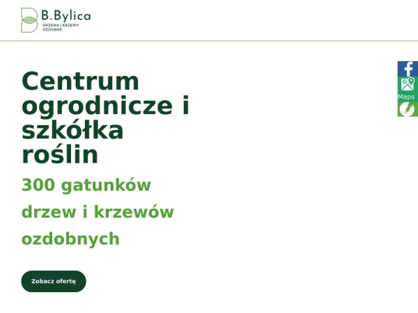 krzewy-bylica.pl