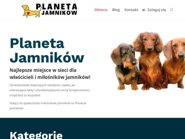 planetajamnikow.pl