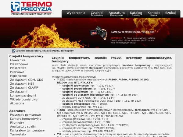 termo-precyzja.com.pl