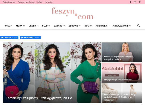 feszyn.com