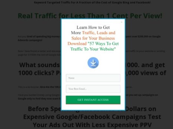 realppvtraffic.com